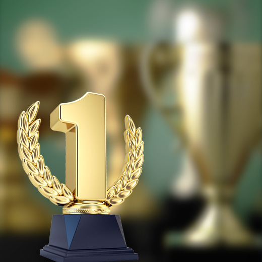 資質(zhì)優(yōu)勢