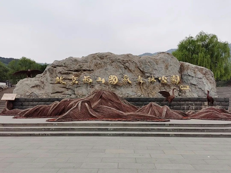 西山森林公園團(tuán)建活動(dòng)