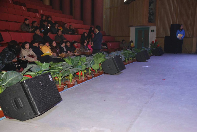 舞臺音響效果的藝術設計探討