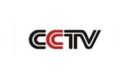 衛(wèi)視CCTV