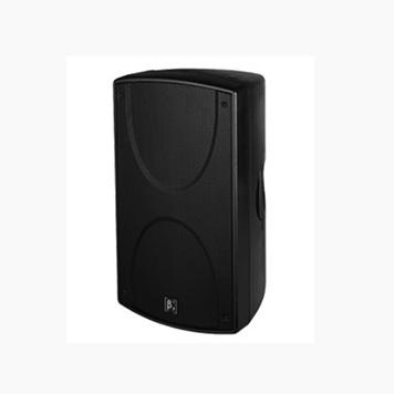 S1200N 內(nèi)置3分頻12英寸同軸全頻揚(yáng)聲器系統(tǒng)