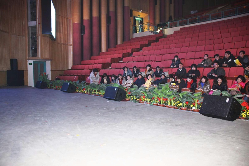 舞臺音響如何發(fā)揮協(xié)調功能