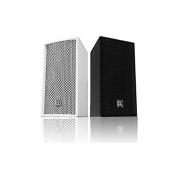 TC205 雙5寸兩分頻全頻音箱 TC205 雙5寸兩分頻全頻音箱